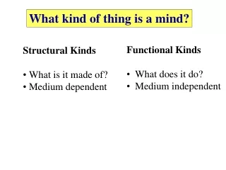 What kind of thing is a mind?