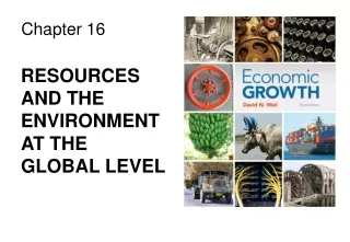 RESOURCES AND THE ENVIRONMENT AT THE GLOBAL LEVEL