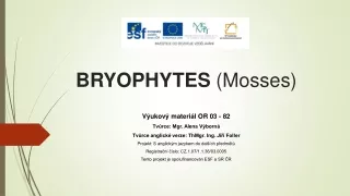 BRYOPHYTES  (Mosses )