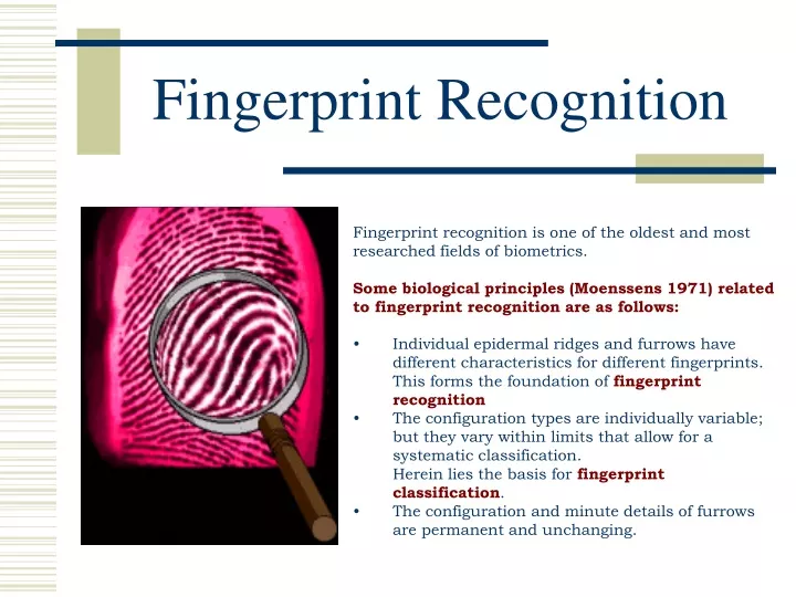 fingerprint recognition