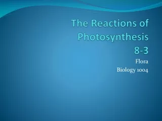 The Reactions of Photosynthesis 8-3