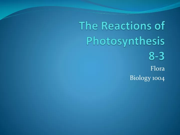 the reactions of photosynthesis 8 3