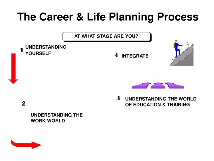 the career life planning process
