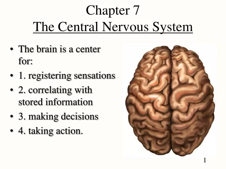 chapter 7 the central nervous system