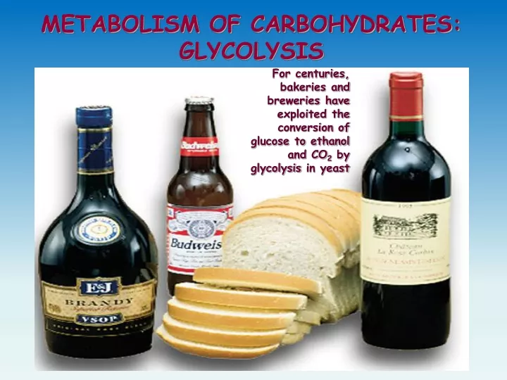 metabolism of carbohydrates glycolysis