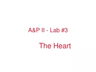 A&amp;P II - Lab #3