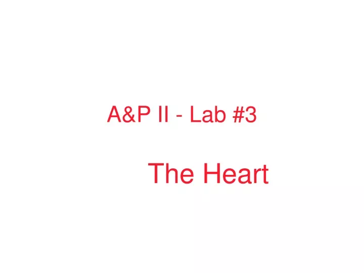 a p ii lab 3