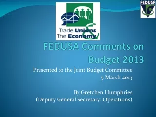 FEDUSA Comments on Budget 2013