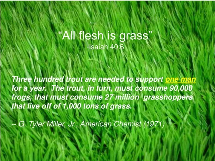 all flesh is grass isaiah 40 6