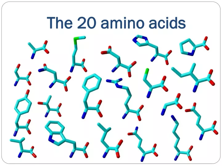 the 20 amino acids