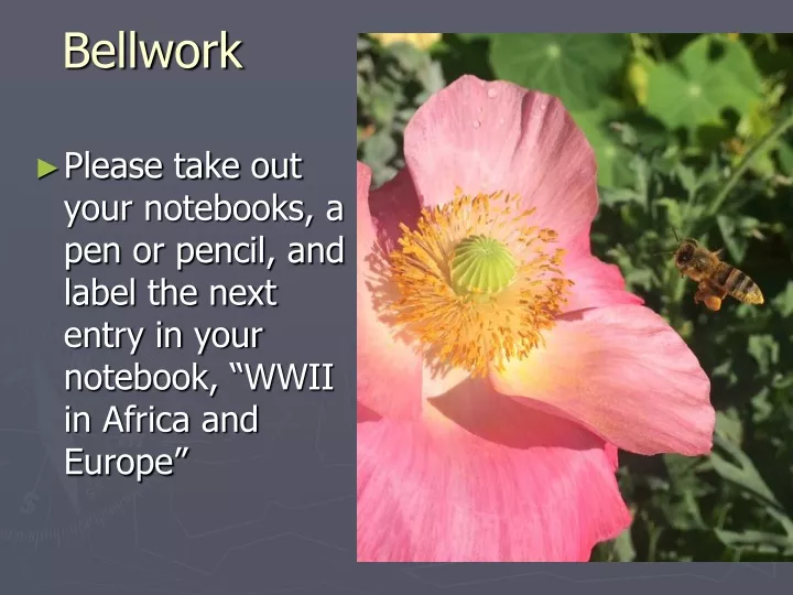 bellwork