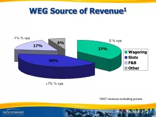 WEG Source of Revenue 1