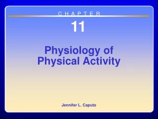 Chapter 11  Physiology of Physical Activity