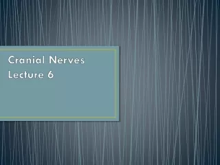 Cranial Nerves Lecture 6