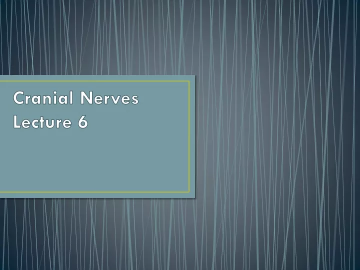 cranial nerves lecture 6
