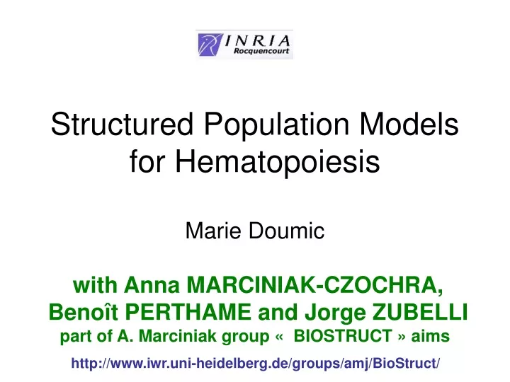 structured population models for hematopoiesis