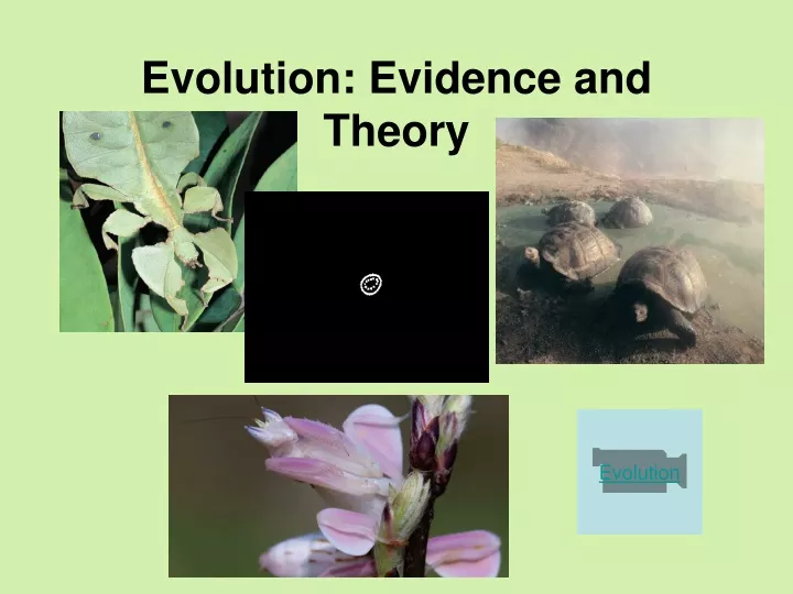 evolution evidence and theory