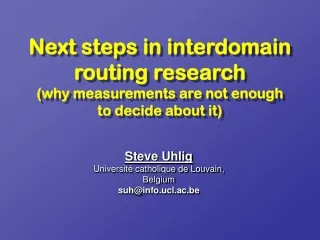 Next steps in interdomain  routing research (why measurements are not enough  to decide about it)