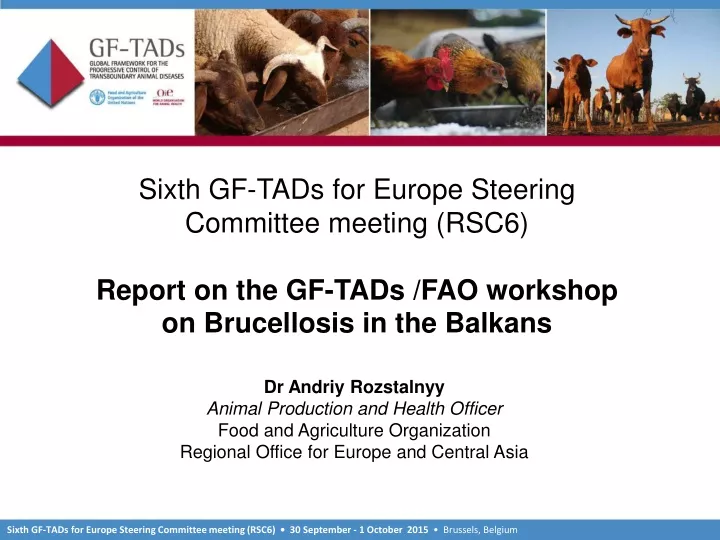 sixth gf tads for europe steering committee