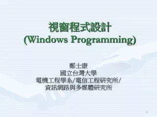 視窗程式設計 (Windows Programming)