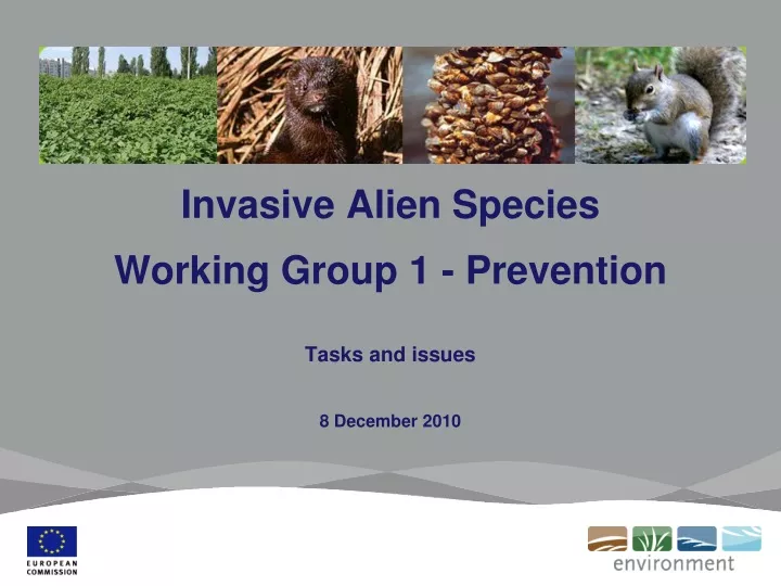 invasive alien species working group 1 prevention tasks and issues 8 december 2010