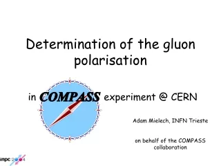 Determination of the gluon polarisation