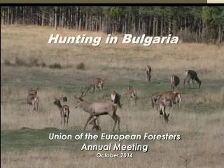 Hunting in Bulgaria