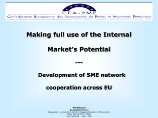 Making full use of the Internal  Market’s Potential ---    Development of SME network