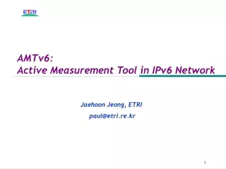 AMTv6: Active Measurement Tool in IPv6 Network