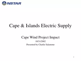 Cape &amp; Islands Electric Supply