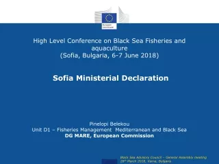 Pinelopi Belekou  Unit D1 – Fisheries Management  Mediterranean and Black Sea