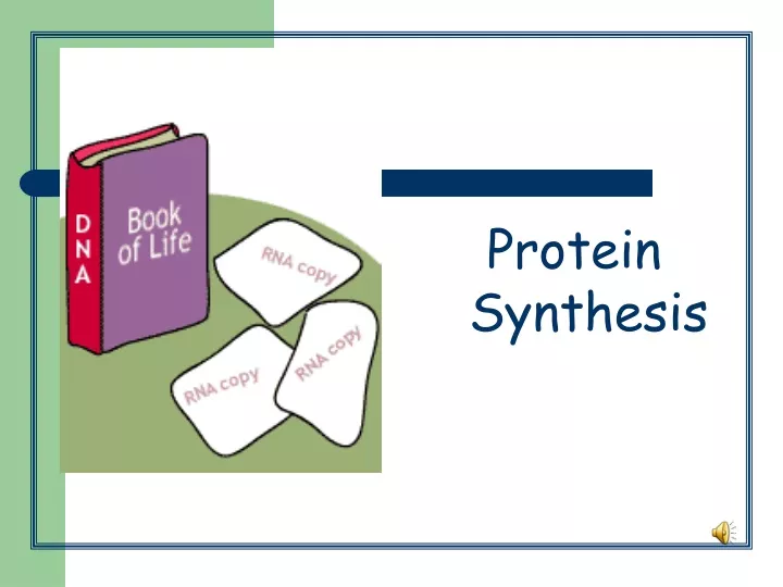 protein synthesis