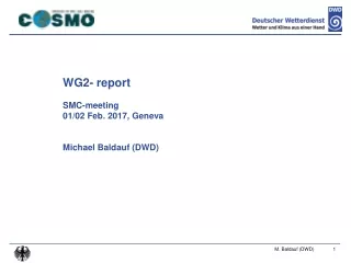 WG2-  report SMC-meeting 01/02 Feb. 2017,  Geneva Michael  Baldauf  (DWD)