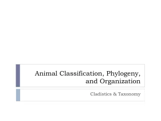 Animal Classification, Phylogeny, and Organization