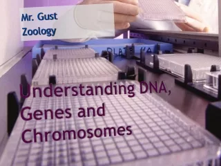 Understanding DNA, Genes and Chromosomes