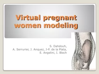 Virtual pregnant women modeling