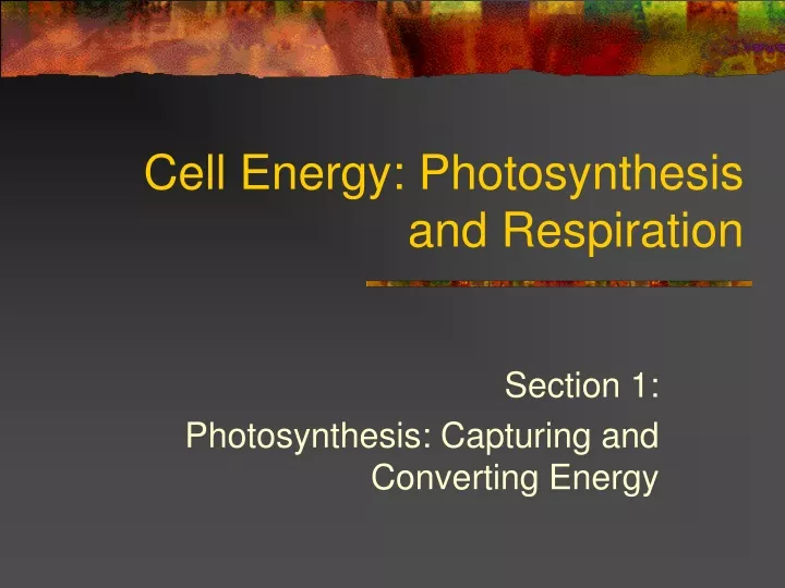 cell energy photosynthesis and respiration