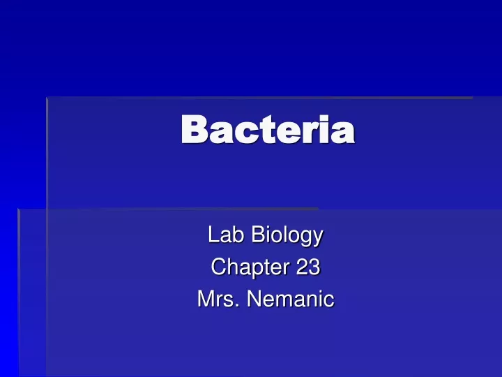 bacteria