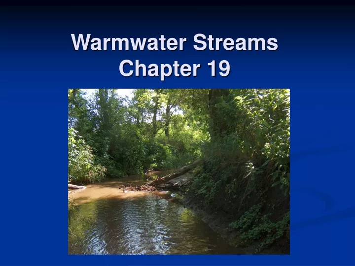 warmwater streams chapter 19