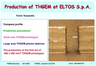 Production of THGEM at ELTOS S.p.A.