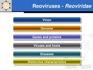 Reoviruses -  Reoviridae