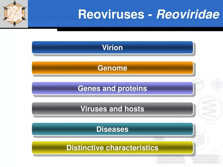 reoviruses reoviridae
