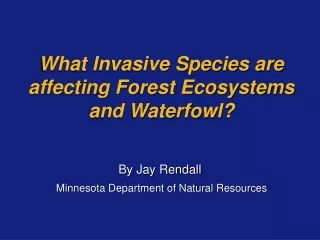 What Invasive Species are affecting Forest Ecosystems and Waterfowl?