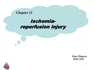 Chapter 11 I schemia-reperfusion injury