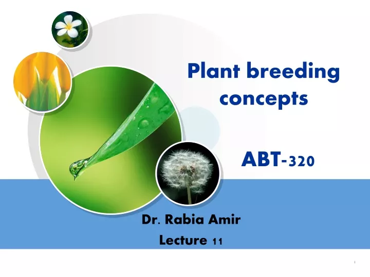 plant breeding concepts