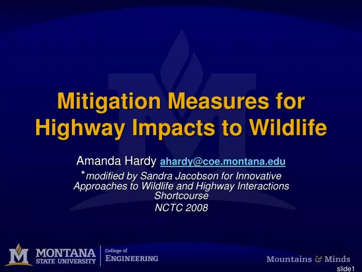 mitigation measures for highway impacts to wildlife