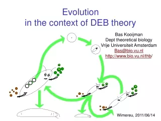 Evolution  in the context of DEB theory