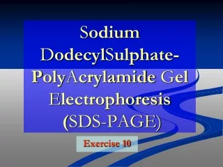 S odium  D odecyl S u lph ate-  P oly A crylamide  G el  E lectrophoresis ( SDS-PAGE )