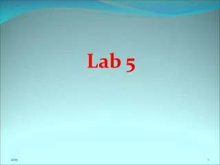 Lab 5