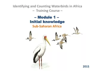 – Module 1 –   Initial knowledge  Sub-Saharan Africa